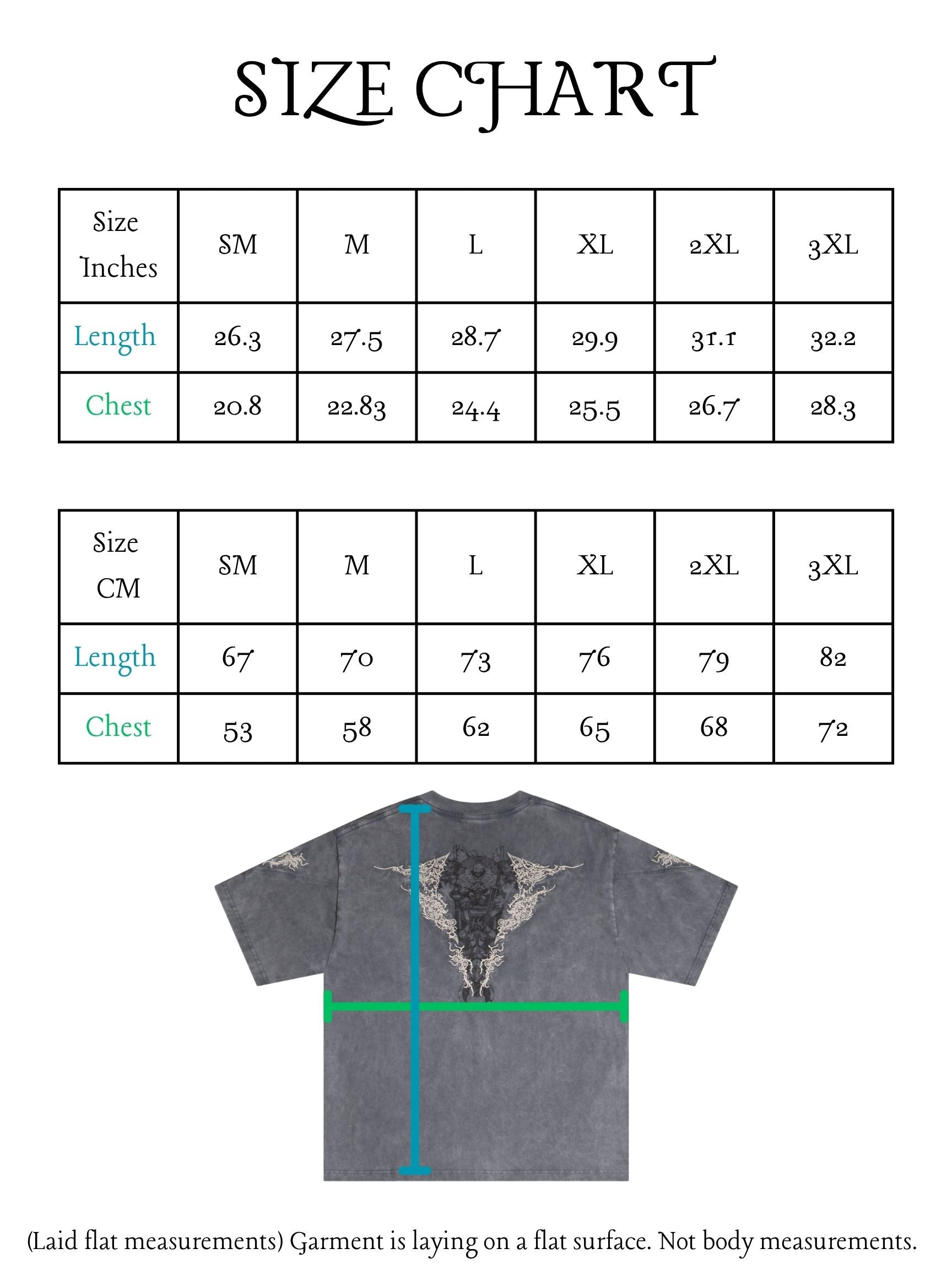 Size chart for a t-shirt with measurements in both inches and centimeters, featuring a gray t-shirt with a graphic design.