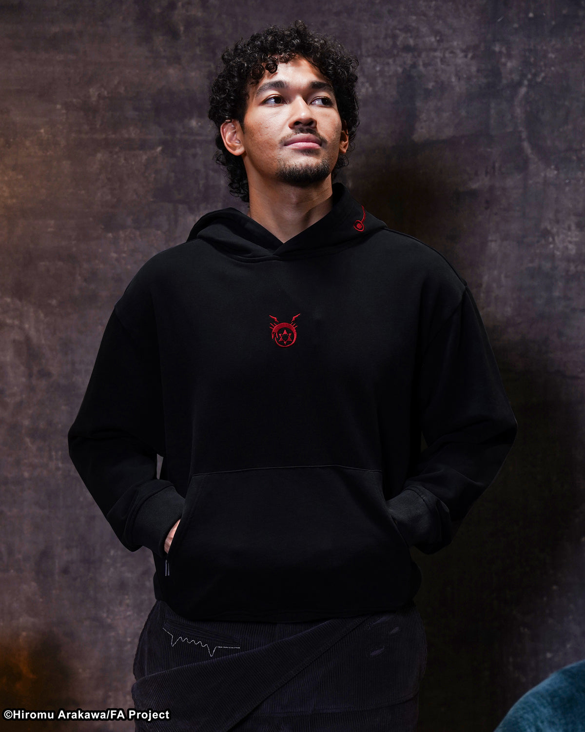 FMAB HOMUNCULI HOODIE 
