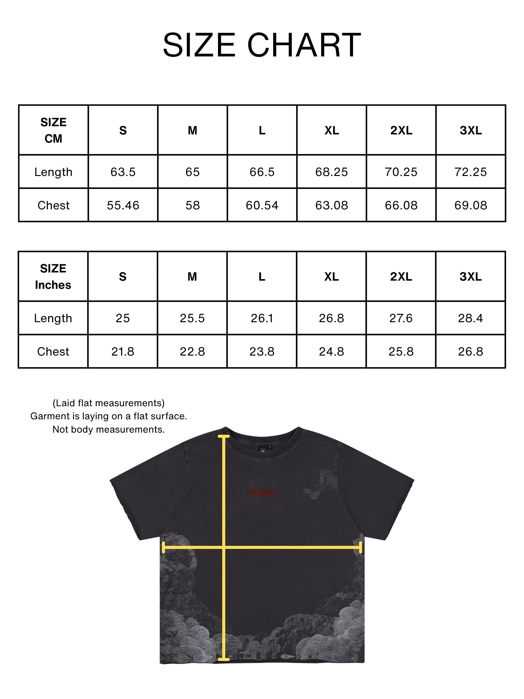 Grey dark fantasy harpy queen relaxed tee
