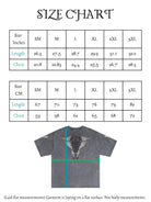 Size chart for a t-shirt with measurements in both inches and centimeters, featuring a gray t-shirt with a graphic design.